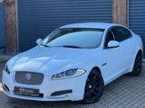 Jaguar XF/Leder/Navi/Kamera/KeyG/SHZ/Tempo/LED/BLACK/ - Jaguar XF: Weiß