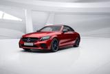 Mercedes-Benz C 200 Cabrio AMG-Sport-Plus/LED/Night/Ambiente - Mercedes-Benz C 200 in Hagen