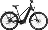 Pegasus Estremo EVO 9 Lite M - Pegasus E-Bikes