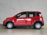 Fiat Panda Pandina S&S #PDC #KLIMA - gebrauchte Fiat Kleinwagen