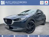 Mazda CX-30 2.0l "Homura" M Hybrid - Mazda CX-30 Homura mit Hybrid-Antrieb (Benzin/Elektro)