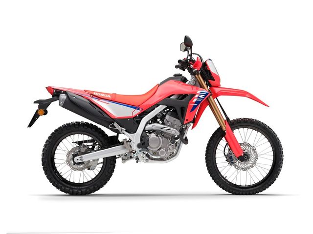 Honda CRF300 L 2025 rot oder grau jetzt vorbestellen !