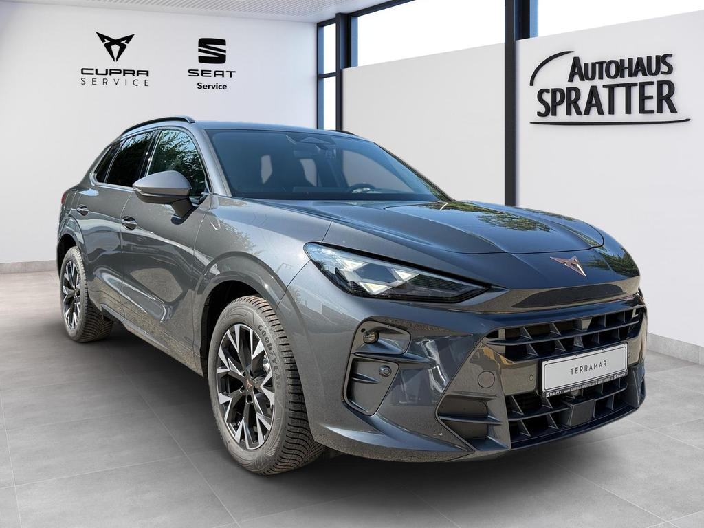 Cupra Terramar