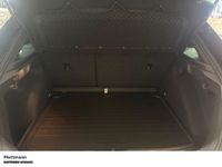 Skoda Scala - Vorschau Bild 8