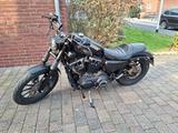 Harley-Davidson Sportster XL  Iron 883 Top Zustand A2 - Angebote