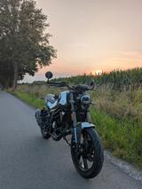 Benelli Leoncino 125 - BENELLI LEONCINO 125