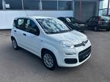 Fiat Panda 1.2 Easy *1.Hand/Kima/Wi-Reifen - gebrauchte Fiat Panda aus dem Jahr 2019