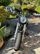 Harley-Davidson Softail Slim - HARLEY-DAVIDSON SOFTAIL SLIM