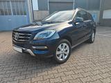 Mercedes-Benz ML 350 BlueTEC 4MATIC-STH.-PANOR.D-AHK,VOLLLEDER - Mercedes-Benz ML 350 in Duisburg