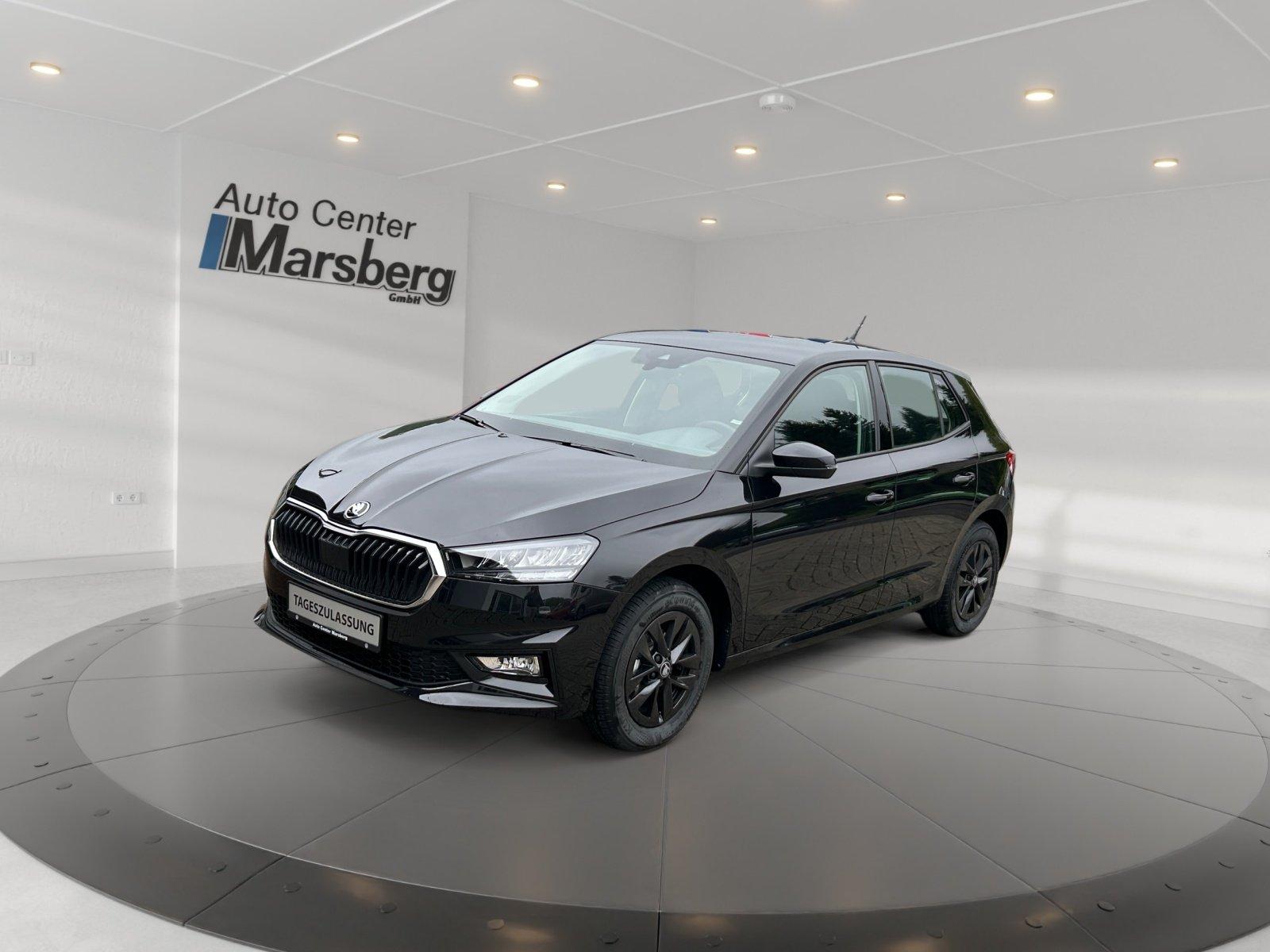 Skoda Fabia 1.0 TSI Selection LED LM Navi PDC SHZ