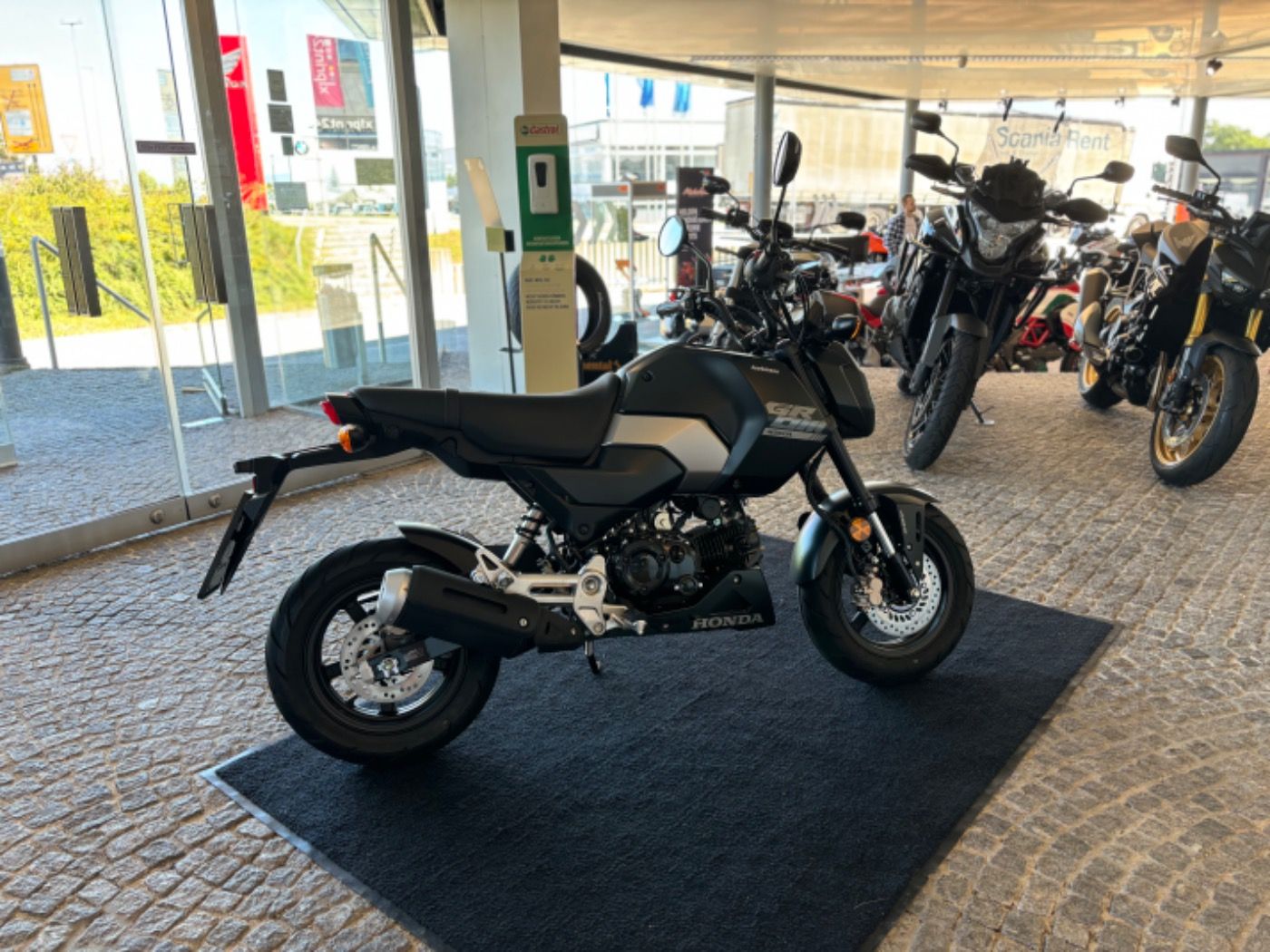 Fahrzeugabbildung Honda MSX 125 Grom 2025