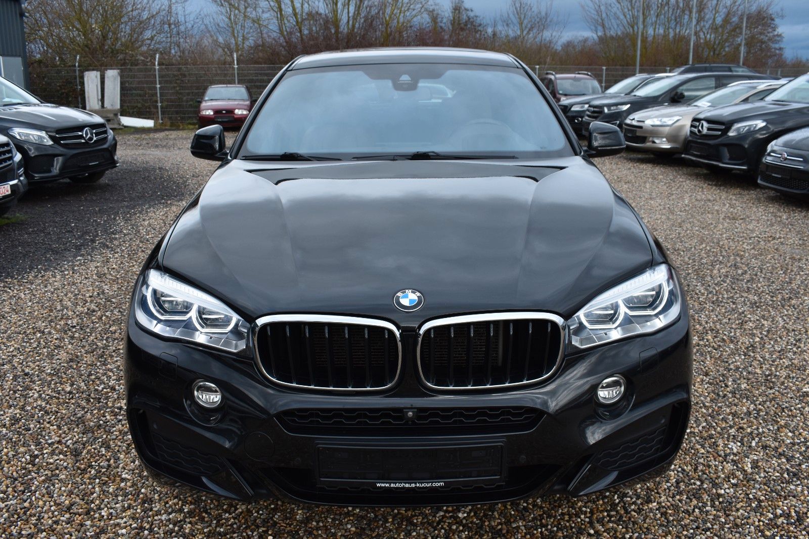 Fahrzeugabbildung BMW X6 xDrive 30 d M Sport Keyless-Go GSD HUD