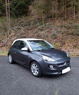 Opel Adam 1.2 69 Ps Apple Carplay Winterpaket Alu