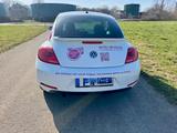 Volkswagen Beetle 1.2 TSI CUP  - Volkswagen Beetle: Cup