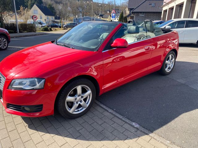 Audi A3 Cabriolet Attraction Leder,PDC,SHZ,Kette Neu