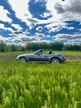 BMW Z3 Roadster 2.5, 2001 - graue BMW Z3