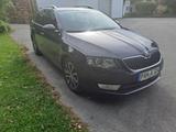 Skoda Octavia 2.0 TDI DSG 150 PS Sondermodell Edition - Skoda Octavia: Sondermodell