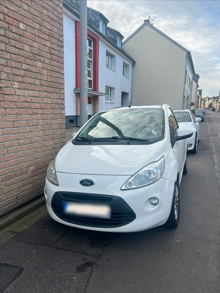 Ford Andere