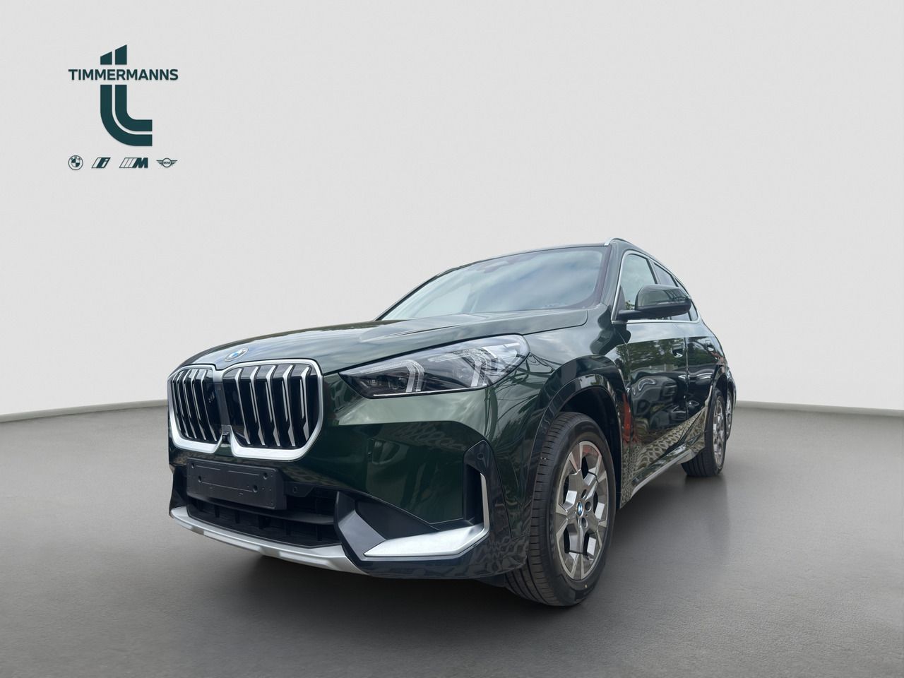 BMW X1 sDrive20d xLine Pano AHK DrAss AdLED foto 1