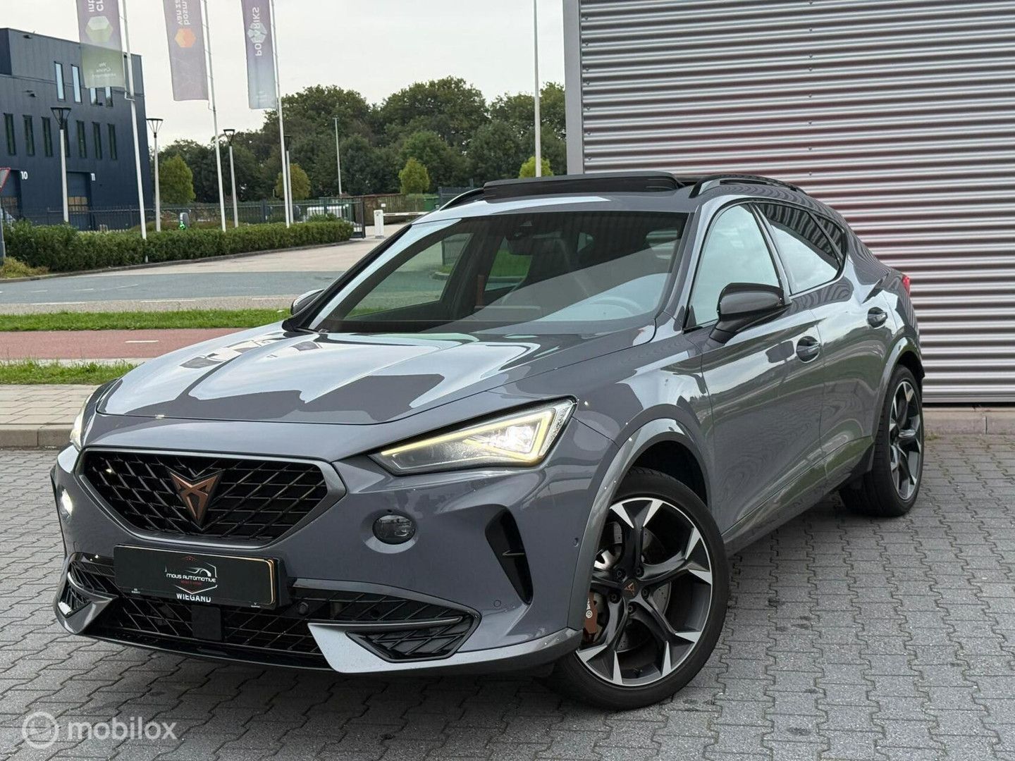 Cupra Formentor 2.0 TSI 4DRIVE imagem 2