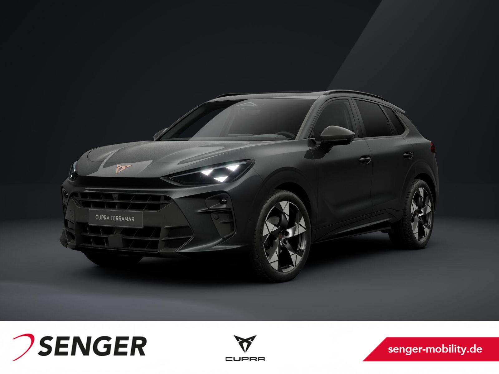 Cupra Terramar 1.5 eTSI HD-Matrix PANO AHK Sennheiser
