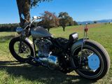Harley-Davidson Softtail EVO Custom TüV neu - HARLEY-DAVIDSON 1989