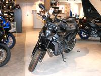Yamaha MT-09 Y-AMT MJ 2024