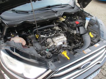 Ford EcoSport Titanium  PDC + Kamera + Winterpaket