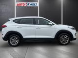 Hyundai Tucson 1.6 T-GDI Autom. 25 Jahre 4WD AWD PDC AUX - Hyundai TUCSON mit Benzin-Antrieb: Geländewagen, Automatik
