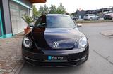 Volkswagen Beetle Remix SHZ/Klima/Tempomat/Dekor Käfer!! - gebrauchte VW Beetle aus dem Jahr 2014