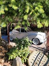 BMW 502 Barockengel  2600 - BMW: 502
