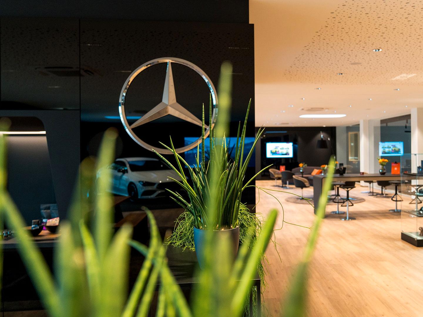 showroom-image-bottom