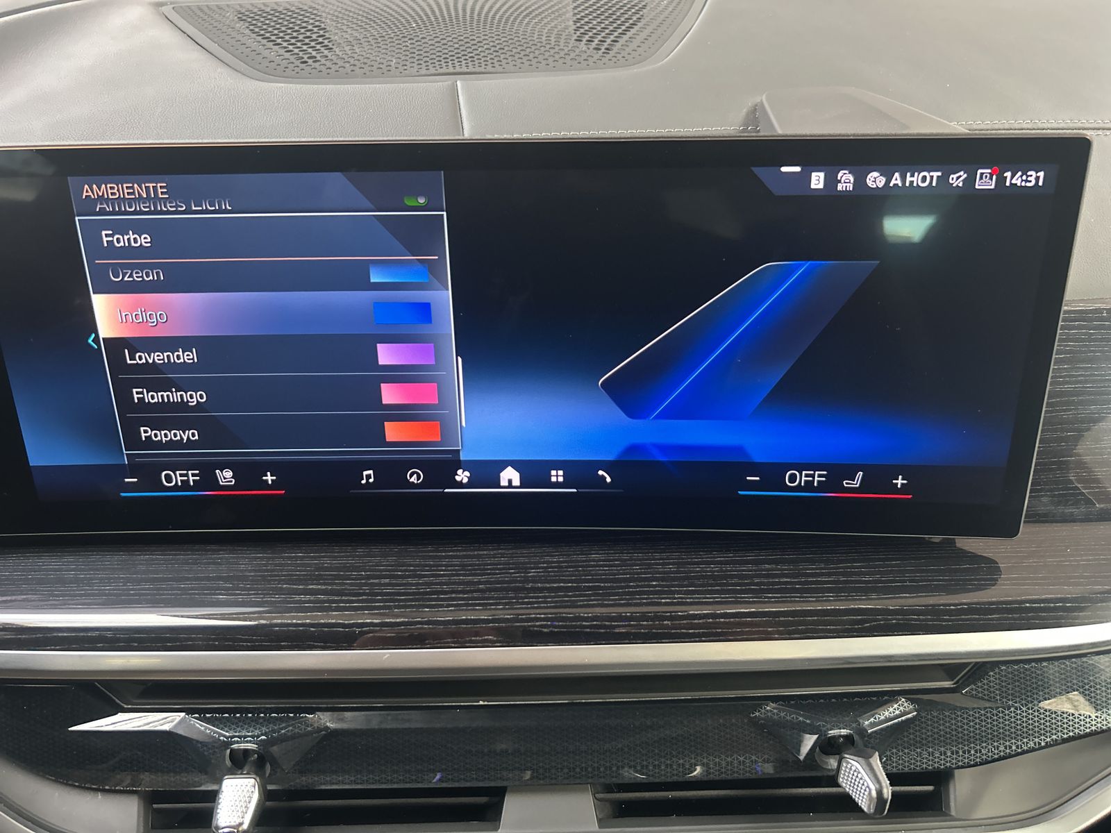 BMW X7 - Bild 23