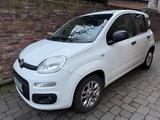 Fiat Panda in super Zustand  - Fiat Panda in Leverkusen
