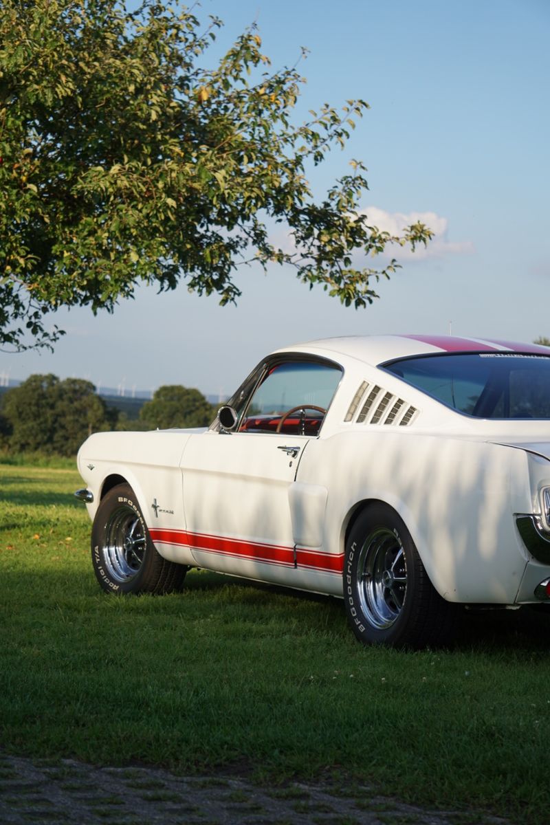 Fahrzeugabbildung Ford Mustang Fastback 4,7 V8 2+2 Fastback Pony