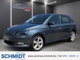 Skoda Fabia Clever 1.0 TSI ACC Navi AppleCarPlay Andro - Skoda Fabia Gebrauchtwagen in Freiburg