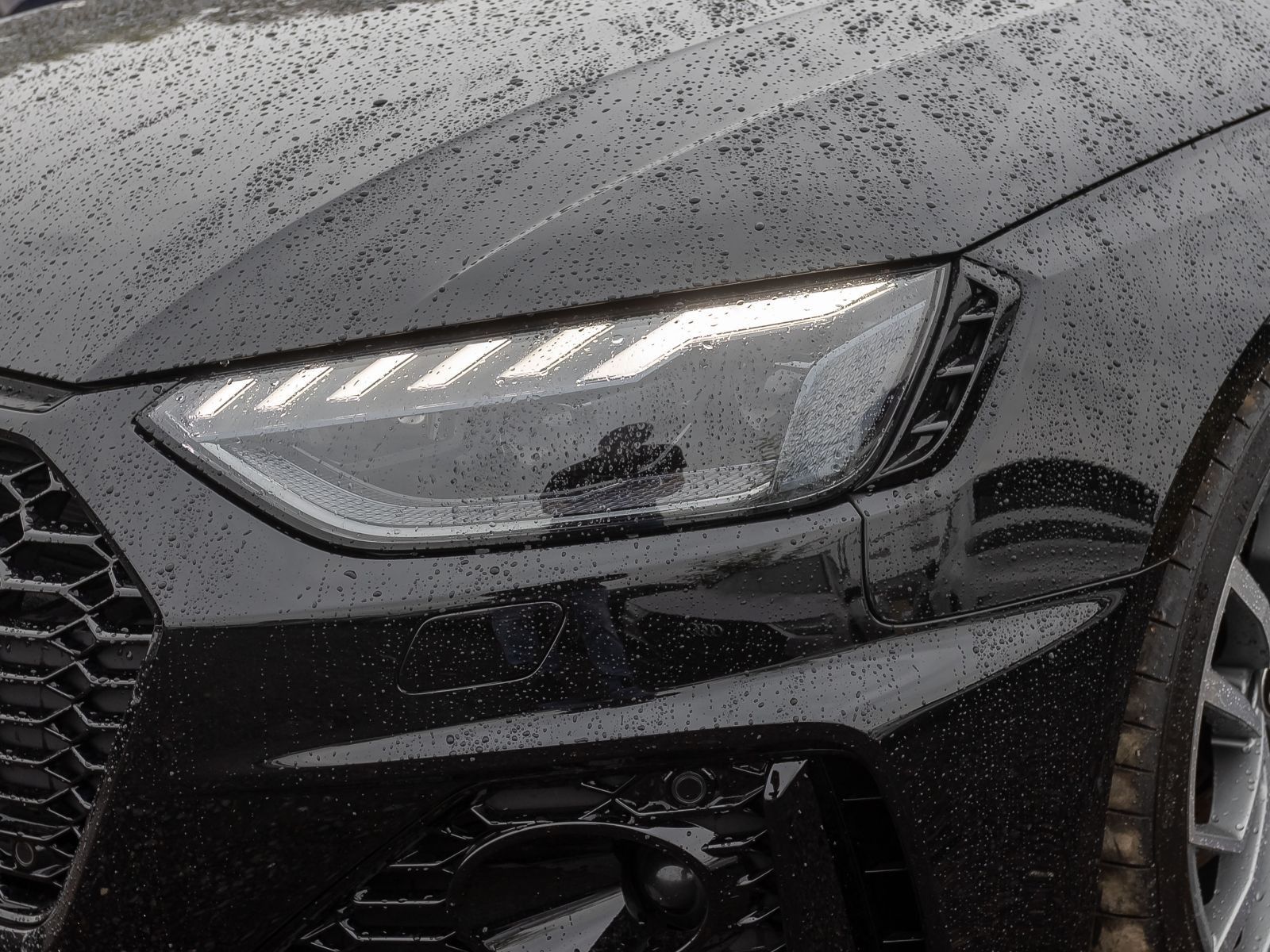 Audi RS4 Avant Navi Matrix ACC B&O CarPlay EPH foto 10