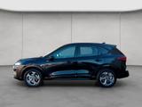 Ford Kuga 2.5 Duratec FHEV ST-LINE 112 kW, 5-türig - Ford Kuga Neuwagen in Düsseldorf