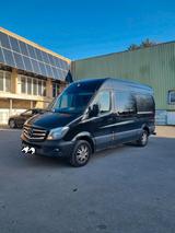 Mercedes-Benz Sprinter 5 Sitzer 319CDI Aut... - Mercedes-Benz Sprinter: 319 Cdi