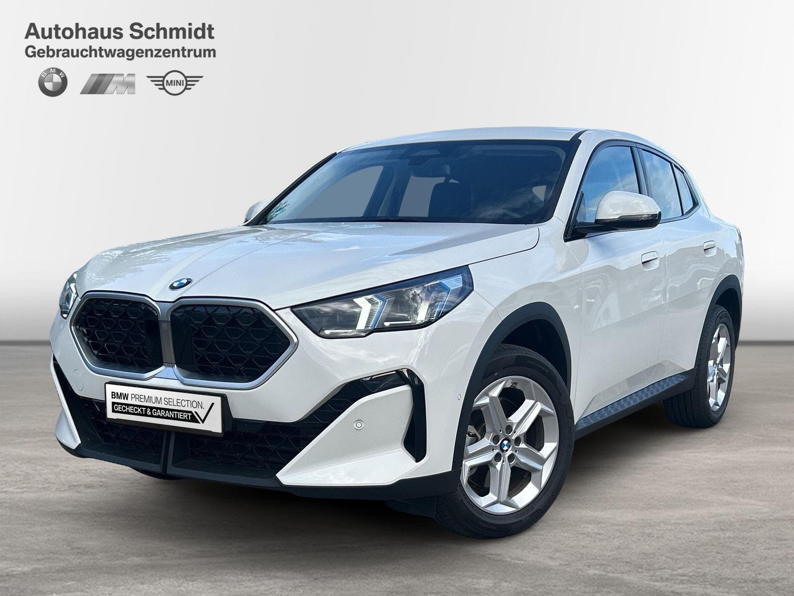 BMW X2 sDrive20i 406€ netto/mtl.*Navi*DAB*Adapt.LED*