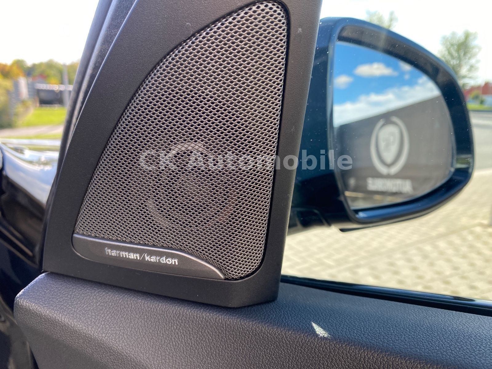 Fahrzeugabbildung BMW X5 xDrive 30d MSport/22Zoll/HeadUp/Pano/360°/LED