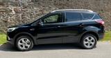 Ford Kuga 1.5 EcoBoost-89.000 km-1.Hd-TÜV ... - Ford Focus SUV