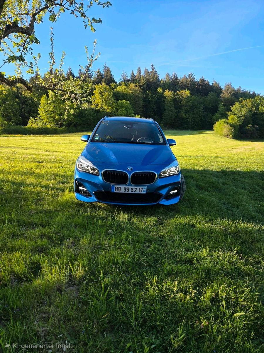 BMW BMW 218i Gran Tourer M Sport, AHK; TÜV NEU...