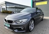 BMW 420 Gran Coupé  M Sport Paket Aut. HiFi SHZ AHK - BMW: Coupe, Gran