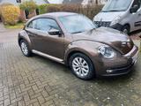 Volkswagen VW the Beetle, Käfer, 2,0TDI , 140PS Autom... - Volkswagen: Kaefer