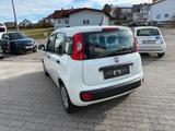 Fiat Panda Pop - Fiat Panda POP mit Benzin-Antrieb