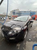 Fiat Punto 1.2 8V POP POP - Fiat Punto in Leverkusen