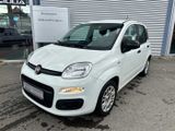 Fiat Panda/Pandina Panda 1.0 GSE Hybrid - Fiat Panda: Kombi