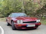 Jaguar XJS - Jaguar XJS