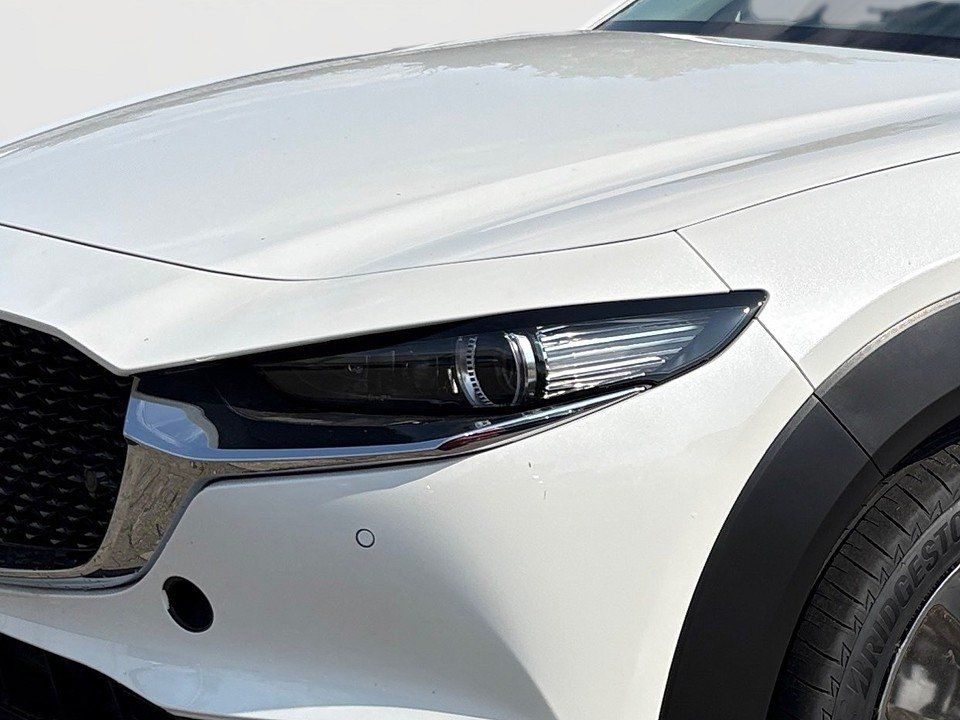 Fahrzeugabbildung Mazda CX-30 X 2.0i 186PS Exclusive